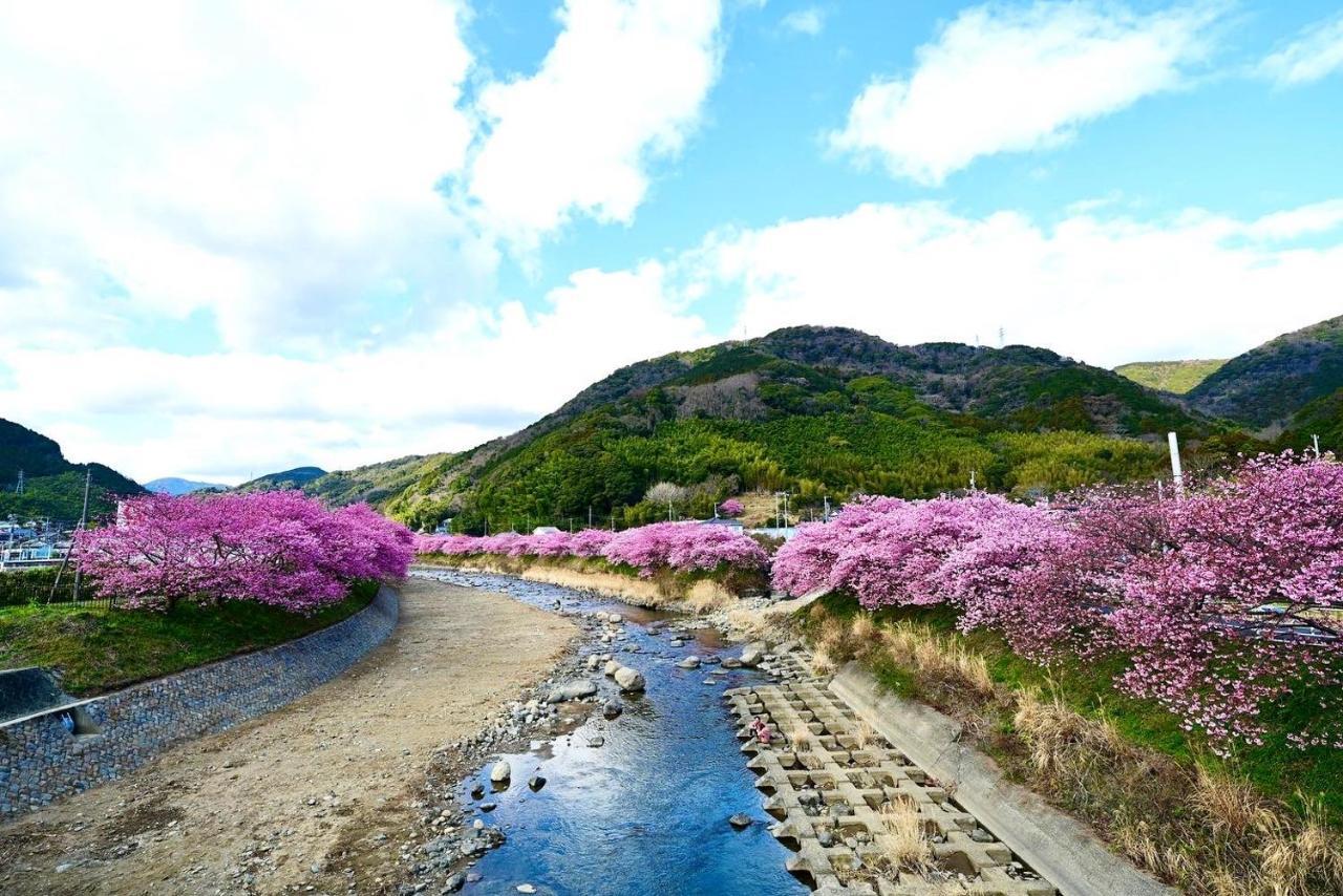 Villa Shobuzawa Log Kawazu Exterior foto